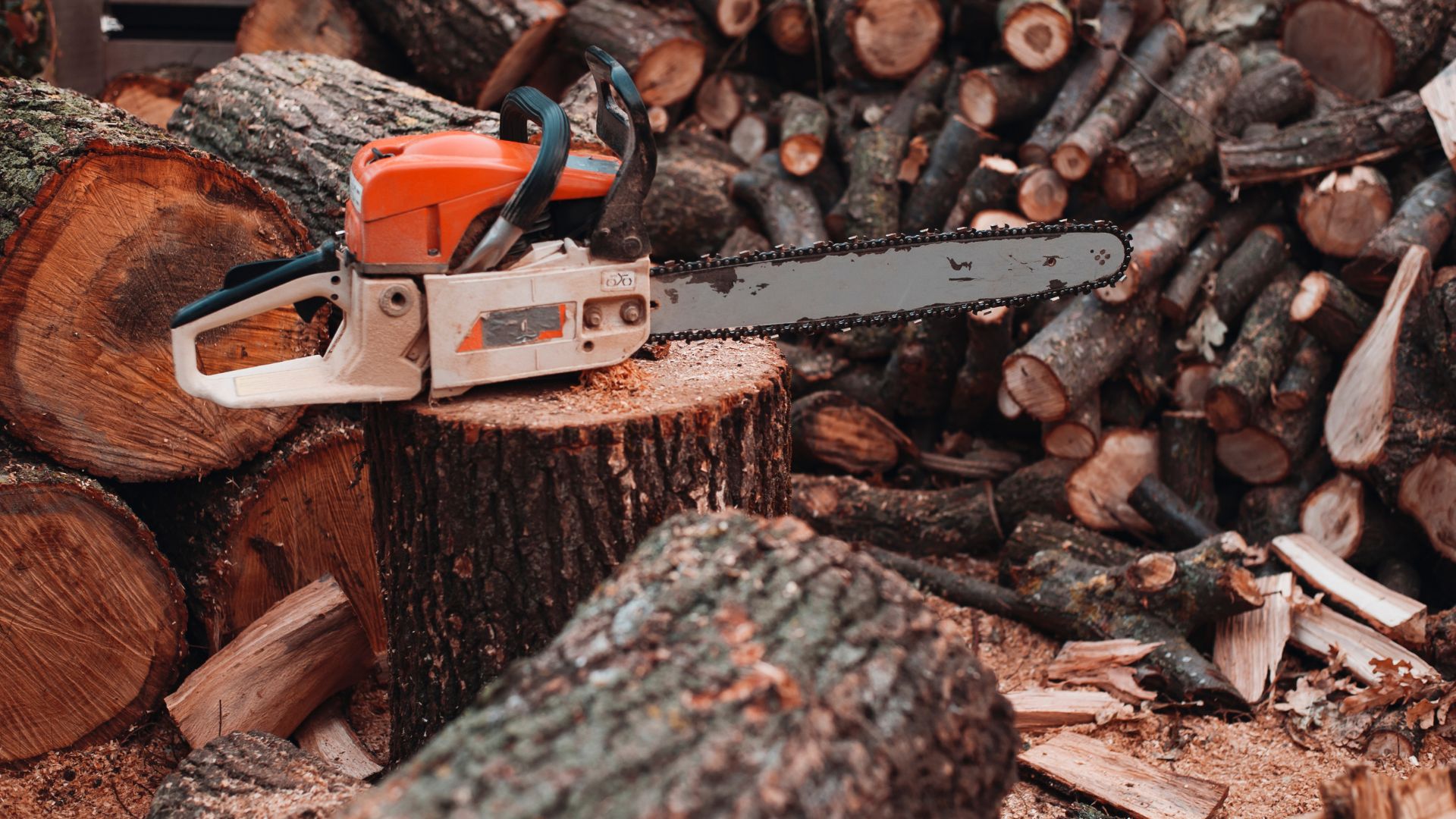 Orange chainsaw rests on tree stump surrounded by chopped wood logs
