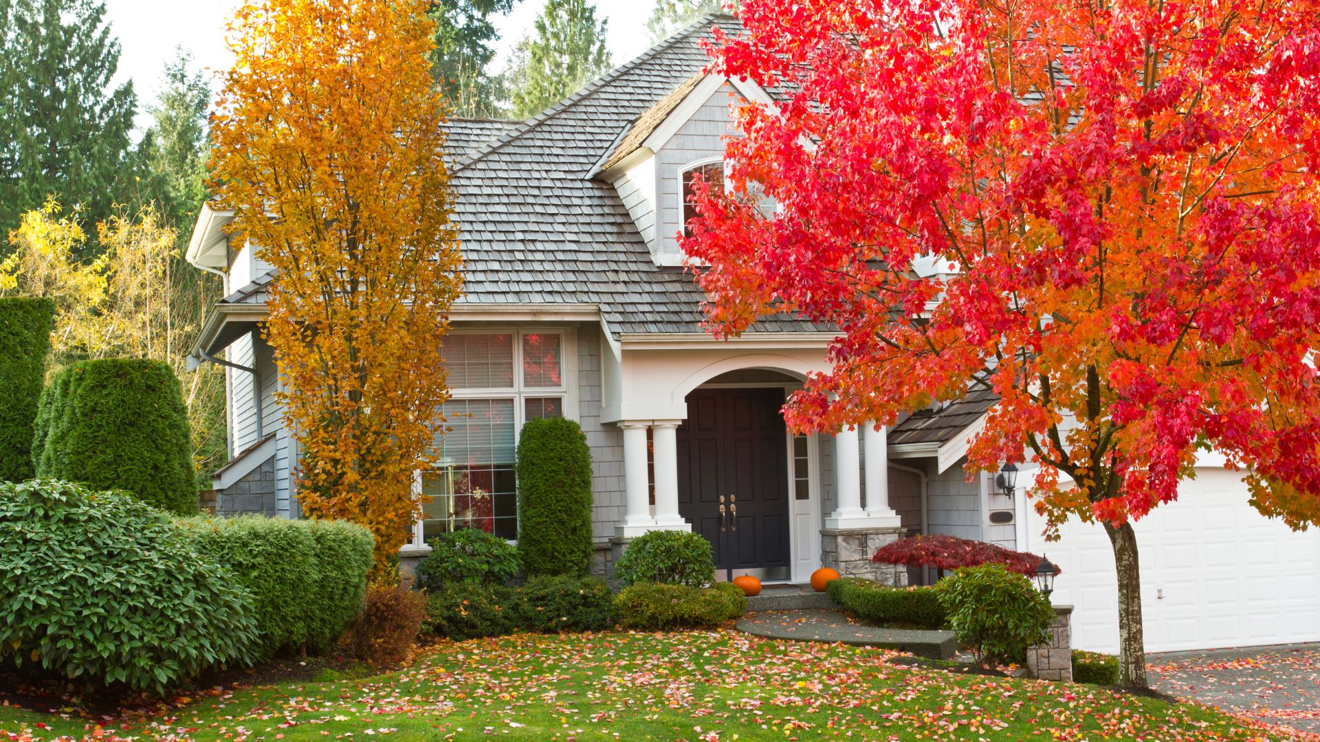Autumn house with vibrant red and yellow trees, pumpkins by front door