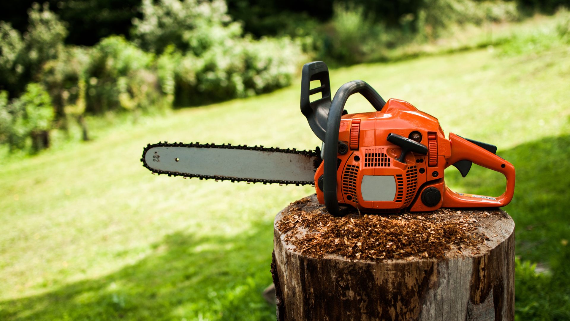 Bright orange chainsaw resting on a wooden stump in a green garden
