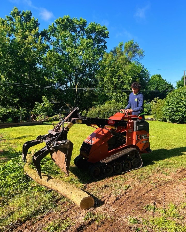 Red tracked skid steer moving log on grassy lawn with trees